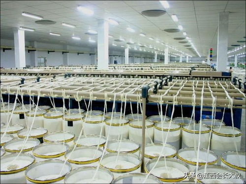 泰昌30年 從廠(chǎng)機(jī)聲到匠心布的傳承路